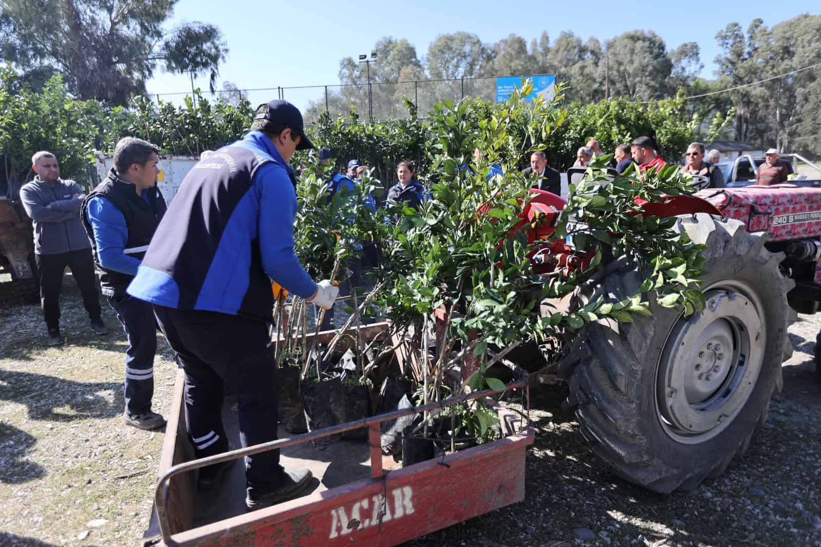 Muğla Büyükşehir Belediyesi Zirai Don Mağduru Üreticilere 1500 Narenciye Fidanı Dağıttı