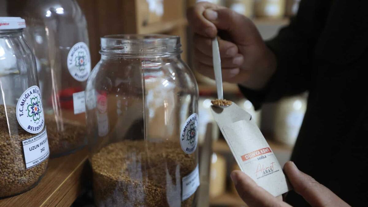 Muğla Büyükşehir Belediyesi 2026 Yılında 3 Milyon Ata Tohumunu 81 İle Dağıttı