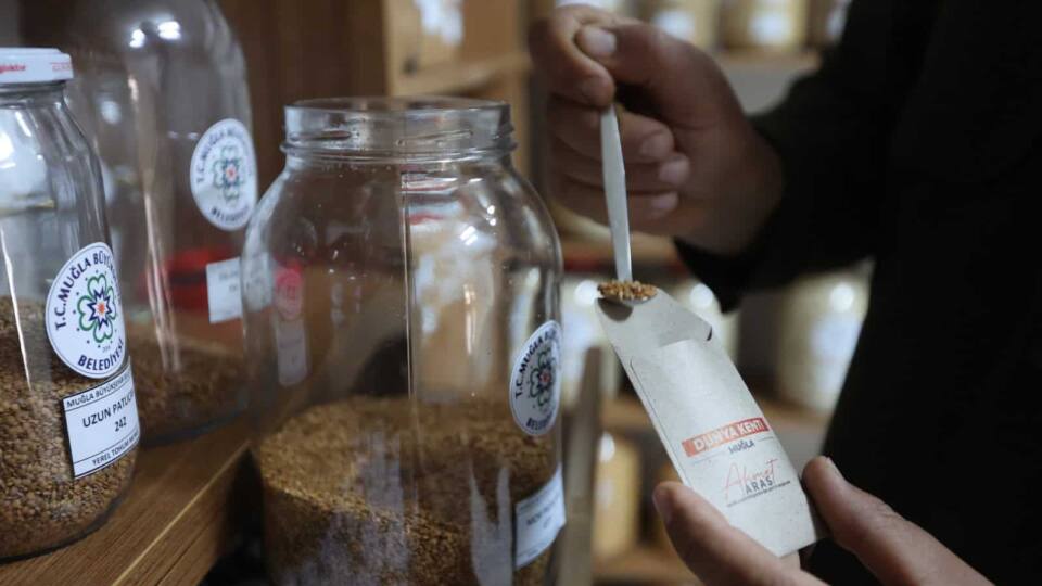 Muğla Büyükşehir Belediyesi 2026 Yılında 3 Milyon Ata Tohumunu 81 İle Dağıttı